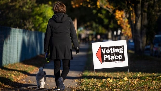 Provincial election campaign officially begins in B.C.