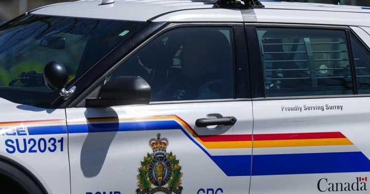 RCMP look for driver after pickup truck hits man in Selkirk, Man.