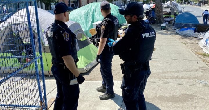 Removal of downtown Victoria homeless camp is last stage of safety plan: police