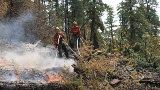 Researchers expect year-long fire seasons in northwestern Canada