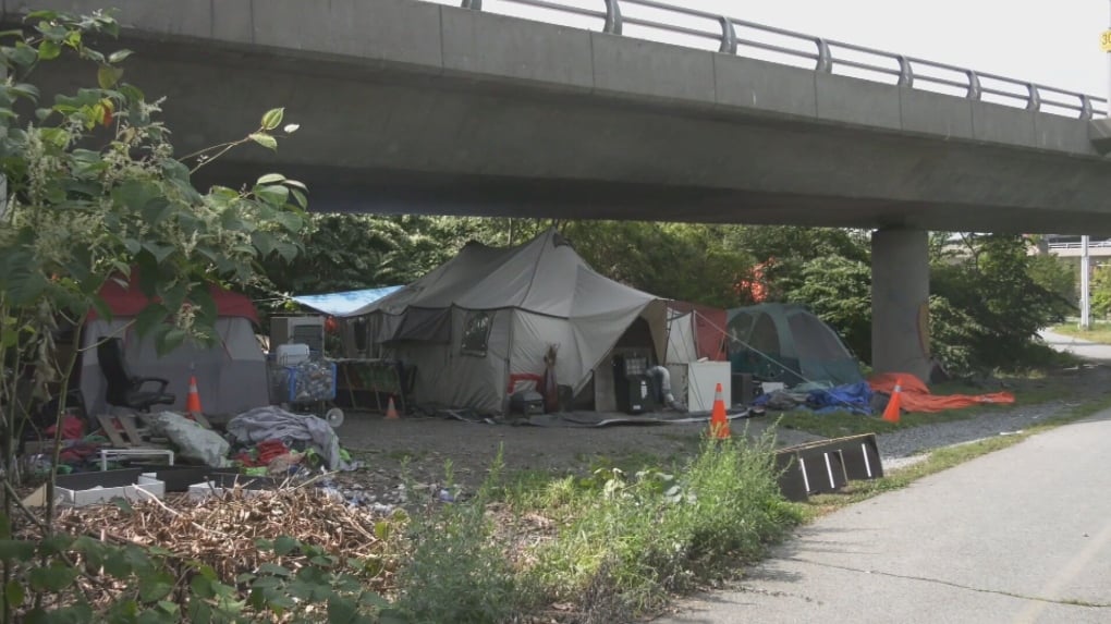 Safety concerns grow over Halifax tent encampment after firearms and stolen property found