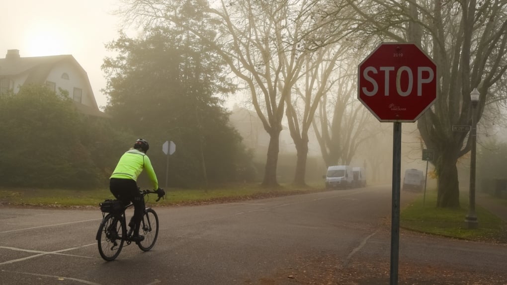 Should cyclists have to obey stop signs? B.C. advocates pushing for 'rolling stops'