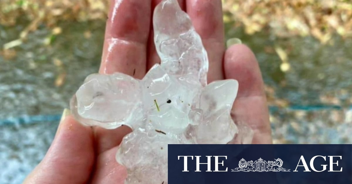 Sunshine coast battered by short-lived hailstorm