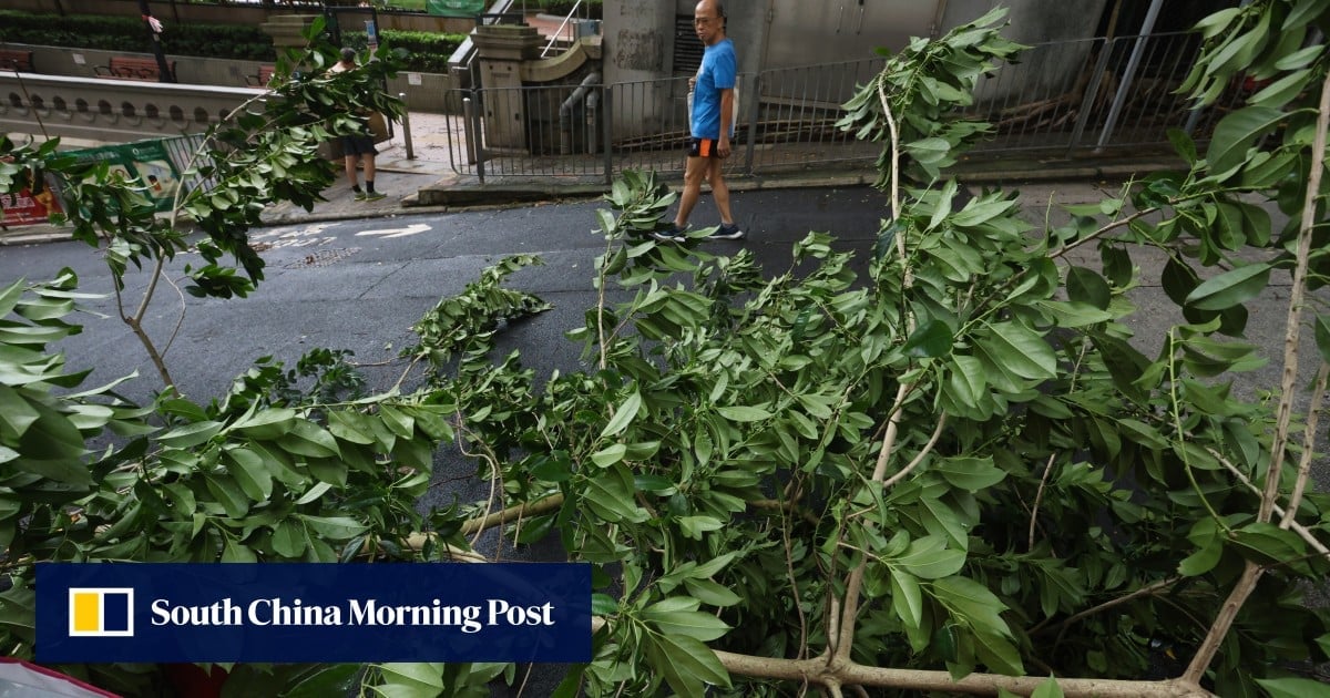 Super Typhoon Yagi: Hong Kong back in business after trees toppled, 9 hurt and flights axed