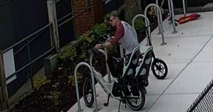 Surrey RCMP recover seats from custom bike for special-needs girl; bike still missing