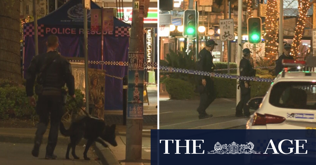 Suspect of a fatal stabbing in Sydney arrested after a two day manhunt