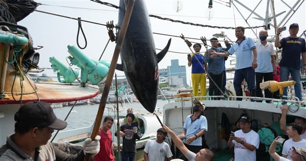 Taiwan-caught fish remains listed on 'forced labor' list