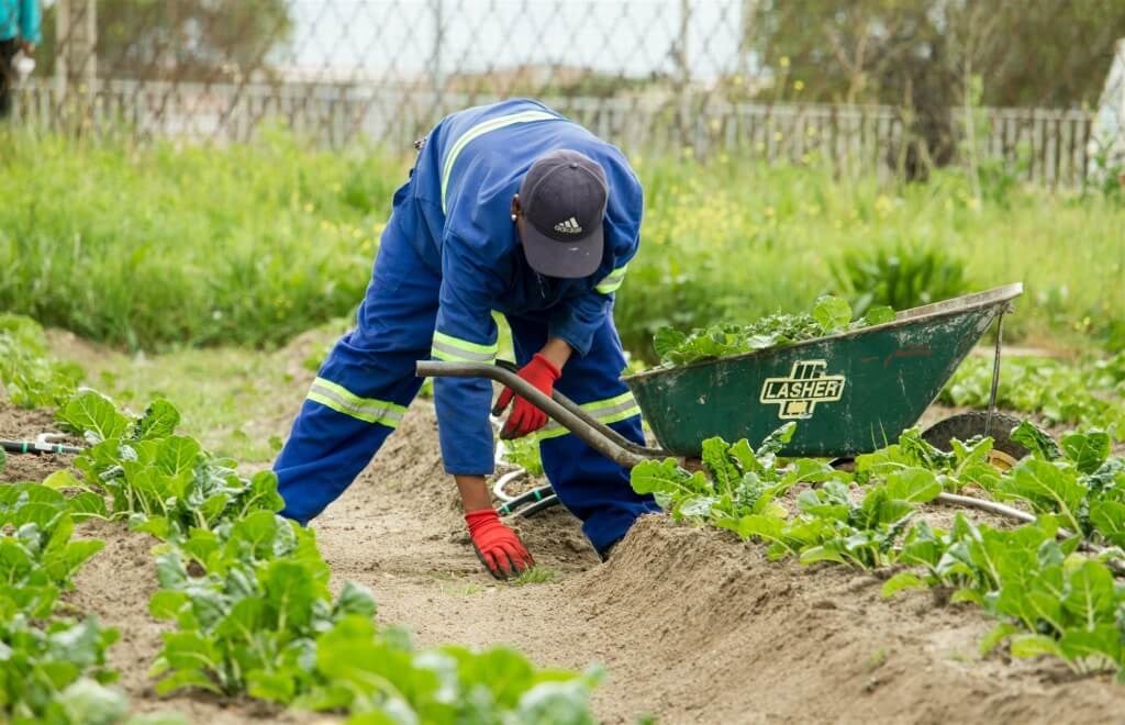 Taiwan to boost agricultural migrant worker quota to 20,000