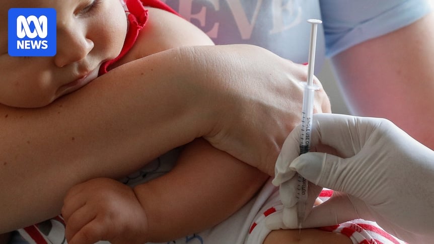 Tasmania in early stage of whooping cough epidemic as authorities urge vulnerable to vaccinate