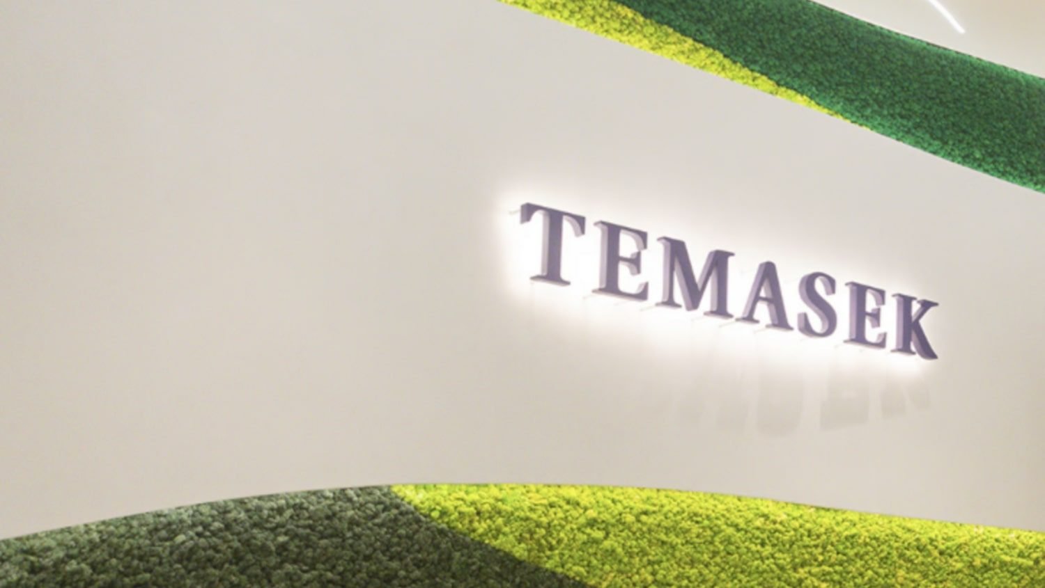 Temasek reportedly close to acquiring 20% stake in Blackstone-owned VFS Global?