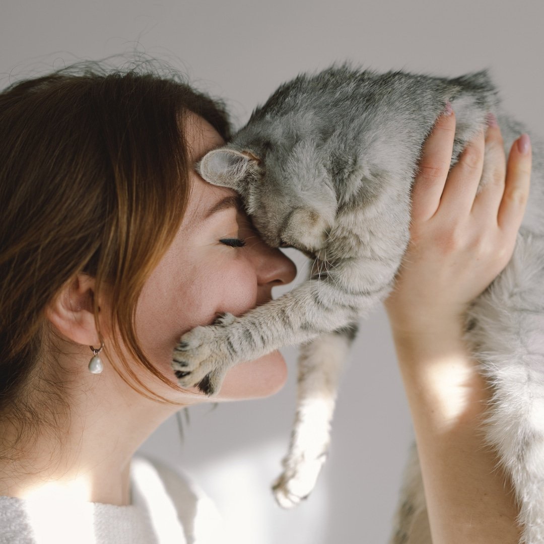  The Best Gift Ideas for All the Purrr-Fect Cat Moms 