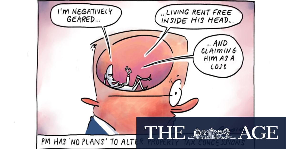 The government needs to look at negative gearing