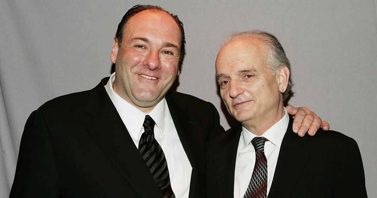 The Sopranos star James Gandolfini's blunt reaction to show's divisive ending