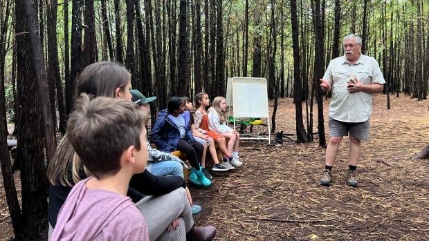 These kids learn from the forest, as their teacher aims to weave climate education into more lessons