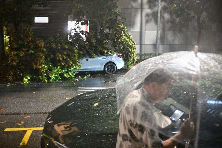 Trees uprooted as strong winds and heavy rain batter Singapore