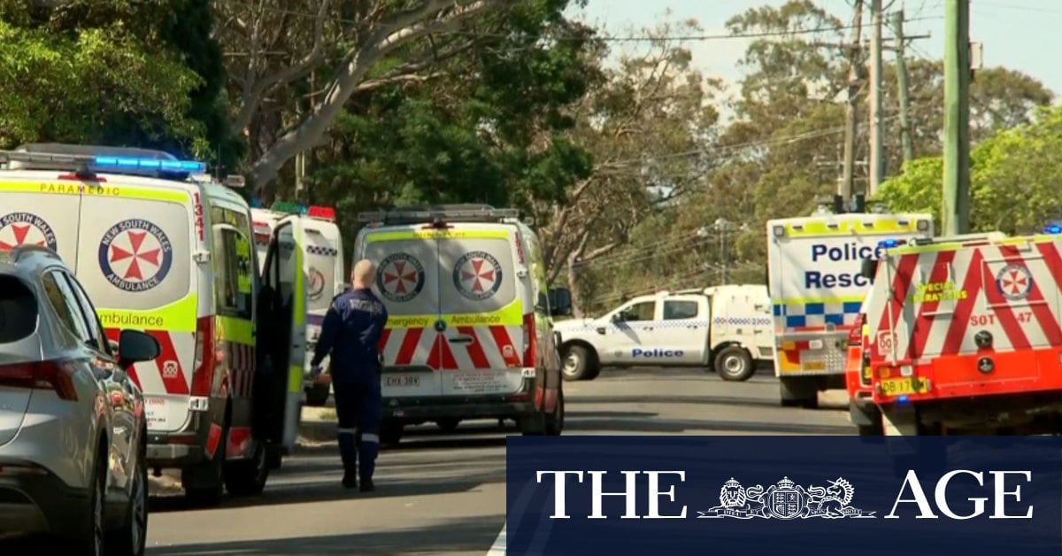 Two boys found dead in Blue Mountains home