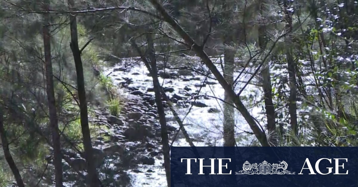 Two dead after SUV crashes into creek near NSW-Qld border