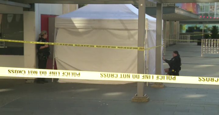 Unhoused man identified as victim in deadly Vancouver stranger attack