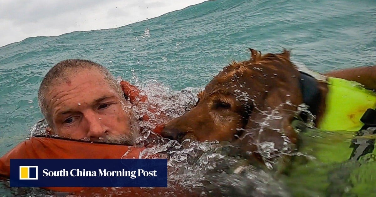 US coastguard rescues man and dog from sinking boat during Hurricane Helene