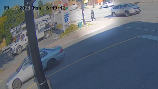 Video released of person of interest after cat is allegedly set on fire in Orillia, Ont.