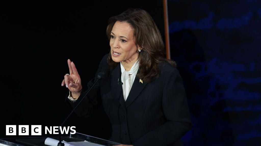 Why Kamala Harris is leaning into her gun ownership