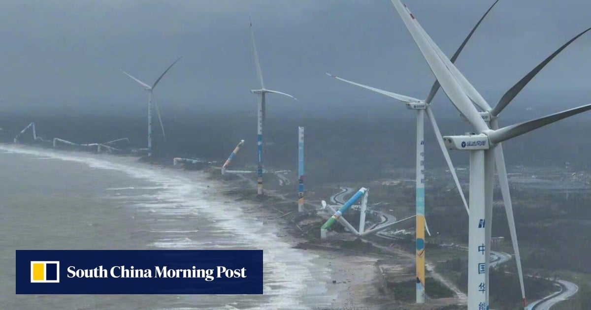 Why Super Typhoon Yagi wrecked one wind farm in China but the rest stood their ground