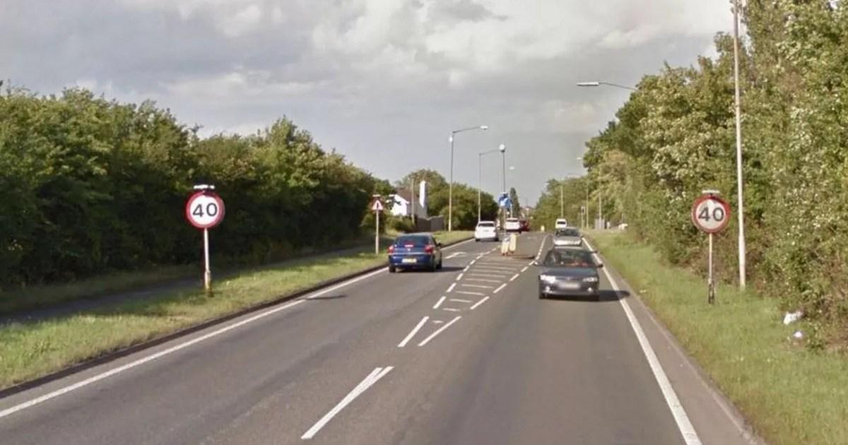 Woman in her 60s and dog killed after being hit by taxi while out on walk