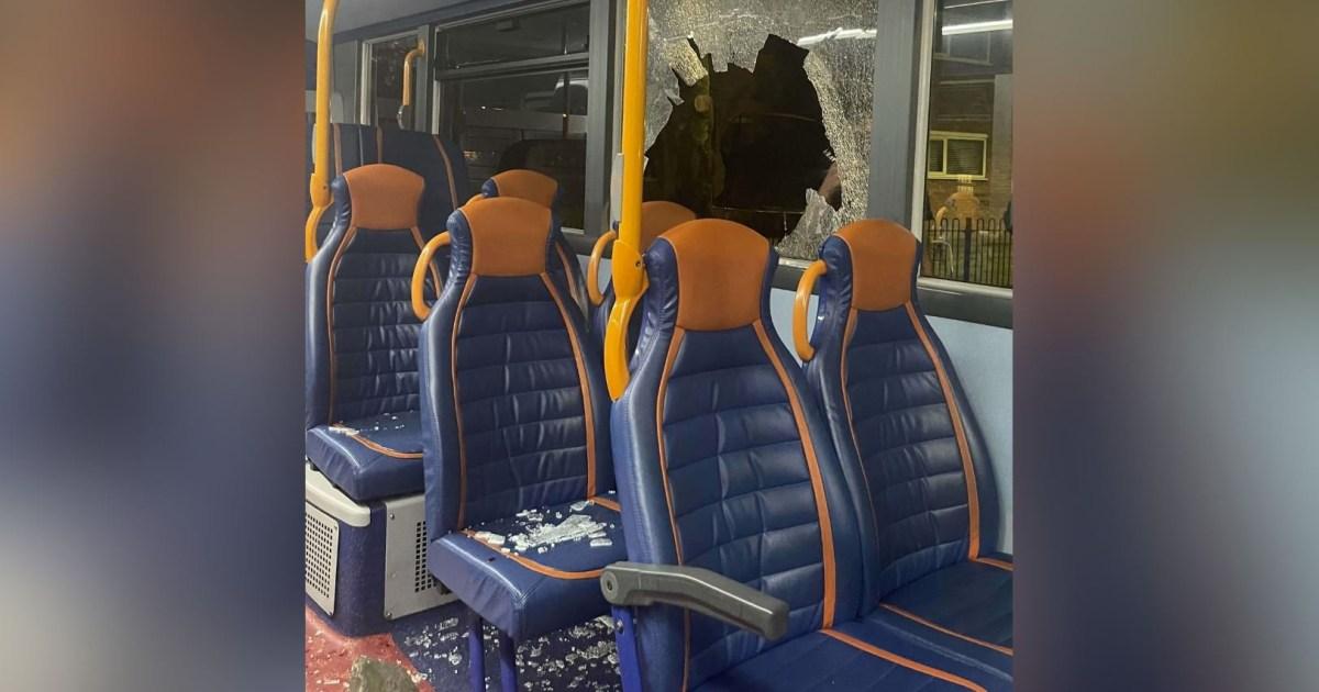 Woman suffers horrific facial injuries after brick hurled through bus window