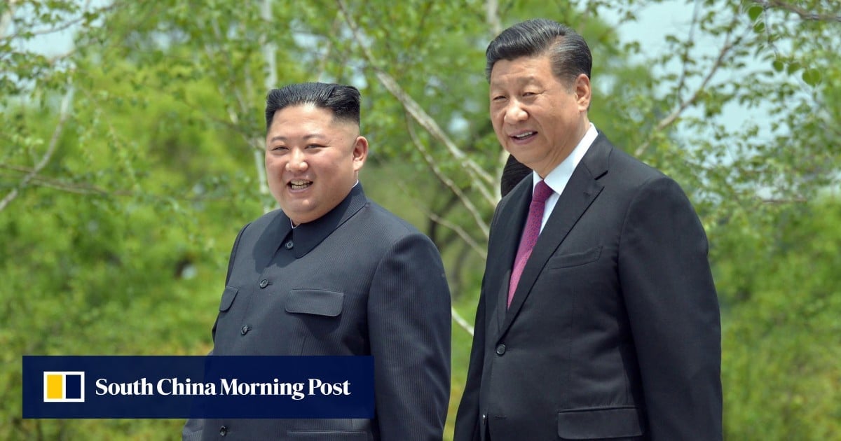 Xi overlooks differences to stress China-North Korea ties in anniversary message