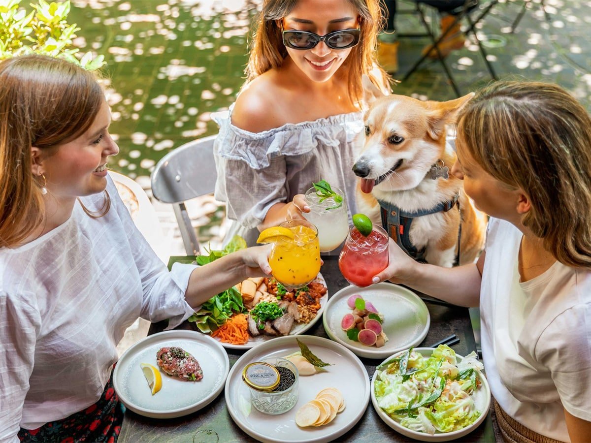 14 Best Bottomless Brunch Spots in Sydney