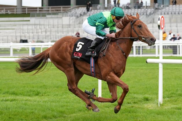 Wayne Bailey: Roi De France looks set to give John Gosden his sixth Cambridgeshire win