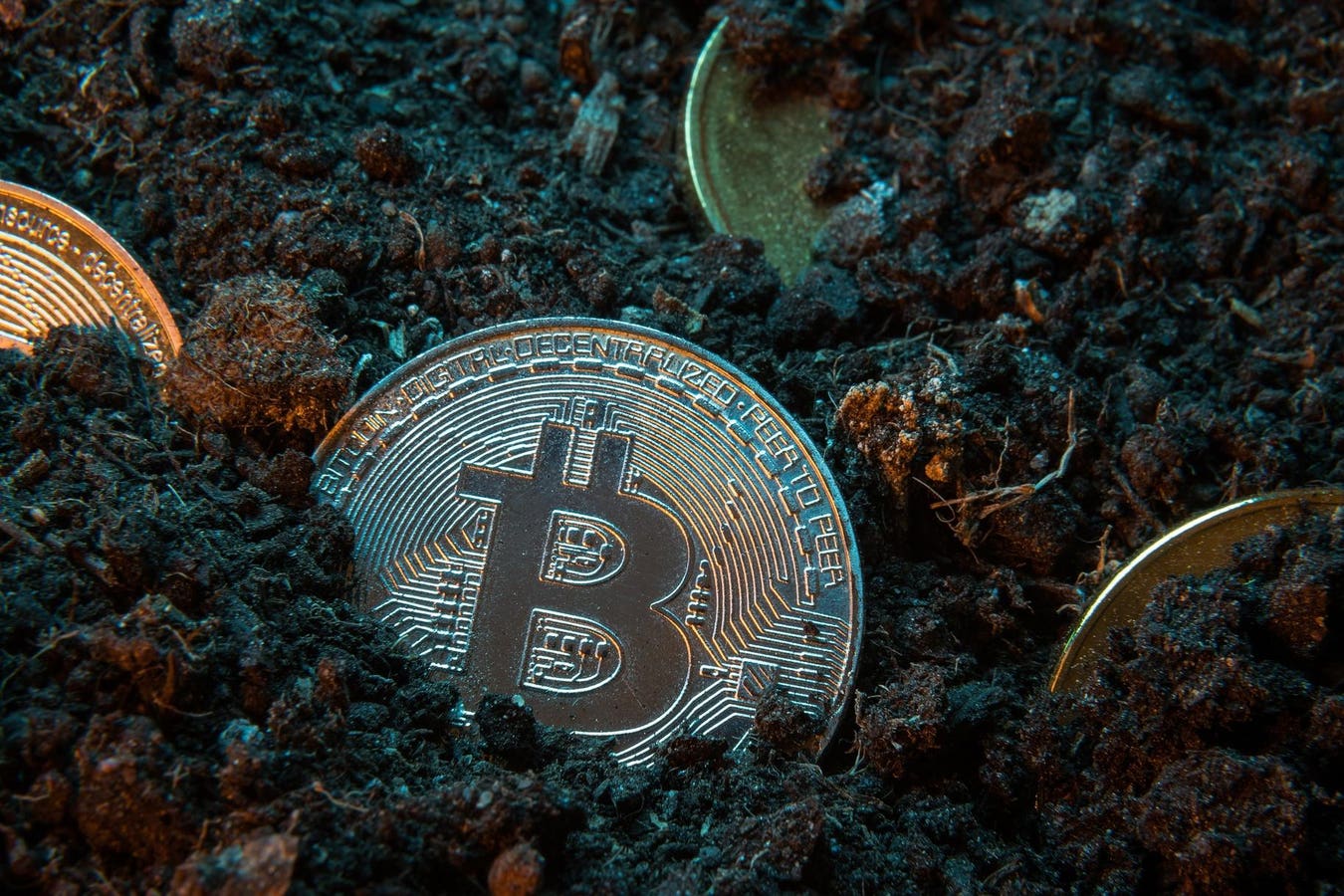 Bitcoin Will Thrive After All Coins Have Been Mined Data Now Shows