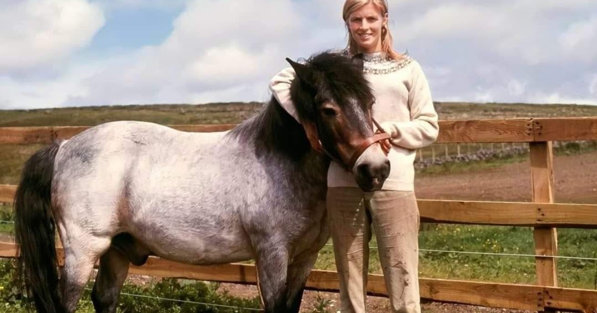 Linda McCartney, the Photographer Who Loved Horses