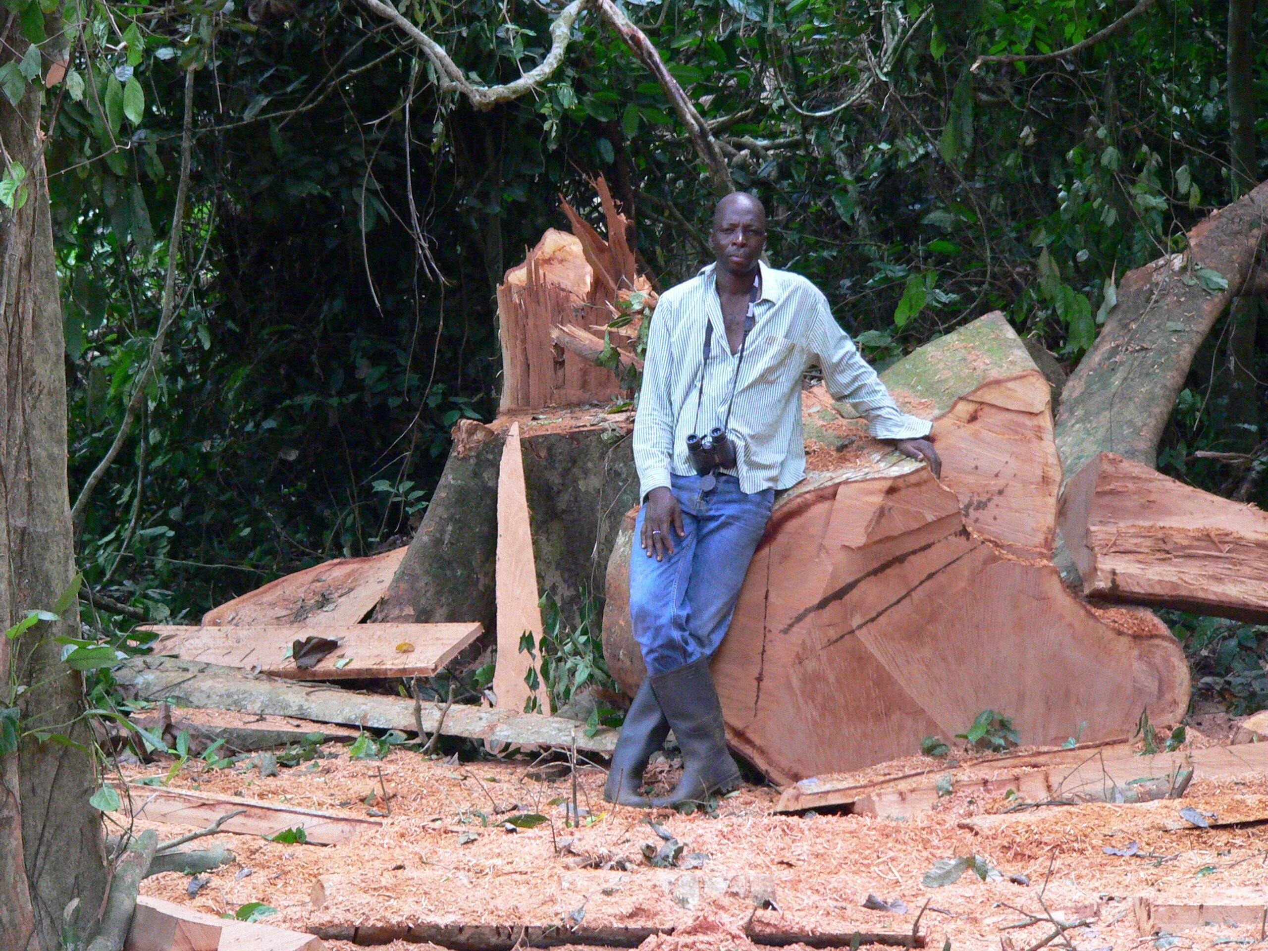 Study offers participant views of community-based natural resource management in Ghana