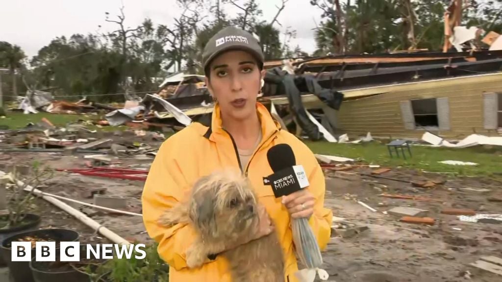 Moment missing dog is found in tornado debris