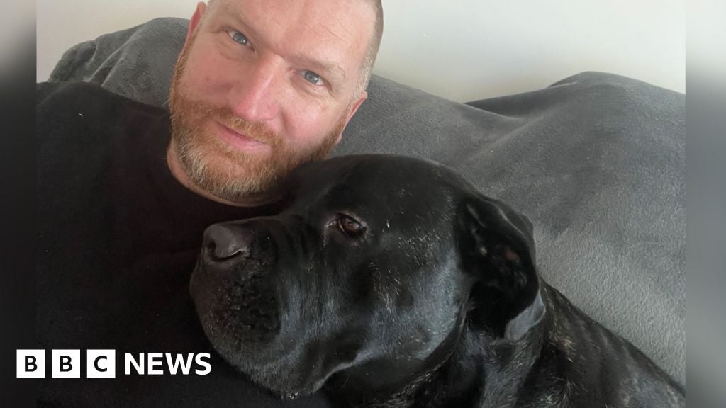 'I had to give up my dog to find somewhere to rent'