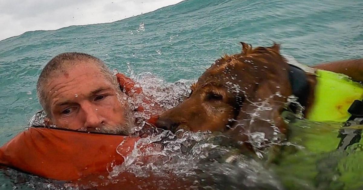 Coast Guard rescues man, dog during Hurricane Helene surge