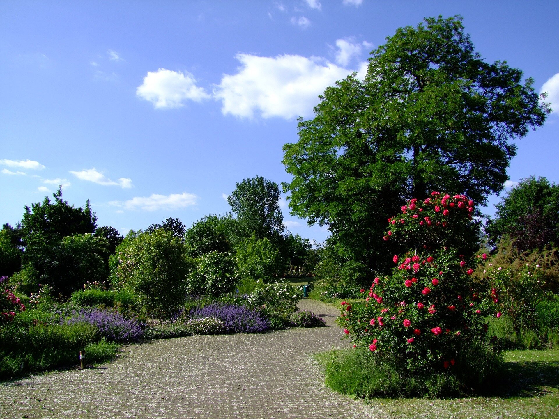 Humanity's future depends on our ability to live in harmony with nature