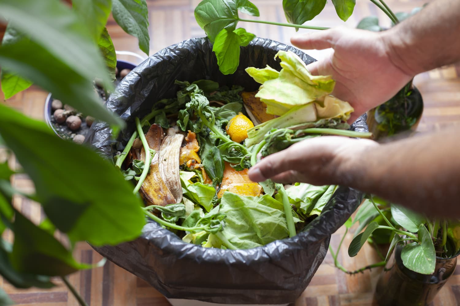 This Sleek Composting Bin Completely Transformed How I Cook (It's So Pretty!)