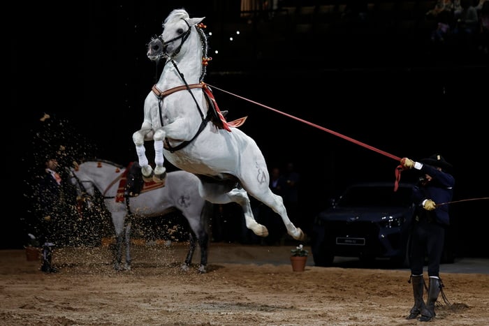 Esibizione a Pamplona della Scuola equestre andalusa