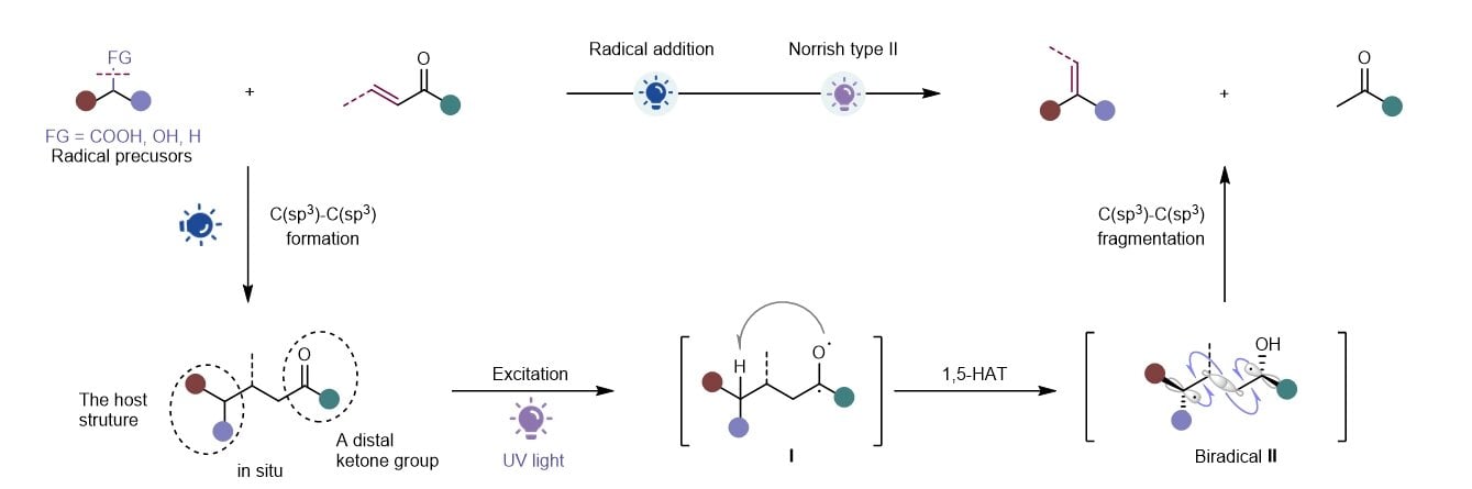 Light broadens the scope of alkene synthesis