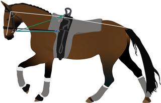 Rein tensions and behaviour with five rein types in international-level vaulting horses