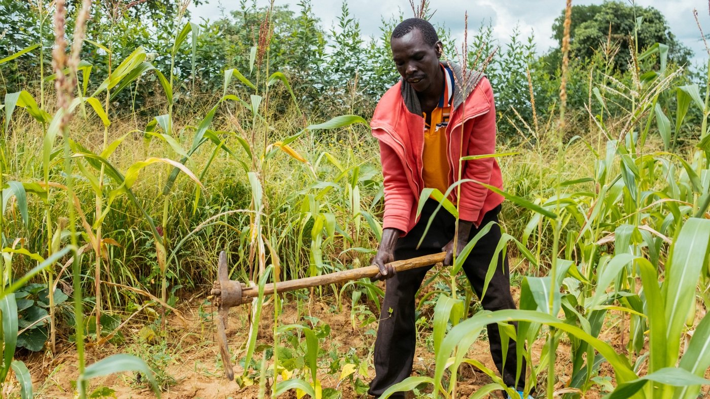 This farmer 'planted blindly' in a changing climate. A weather app came to his rescue