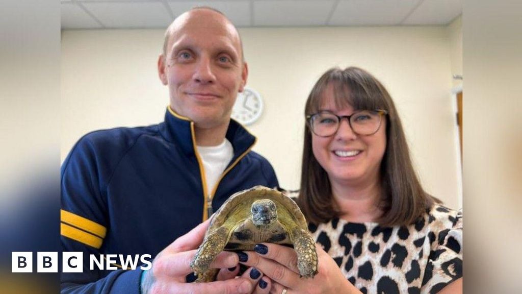 Pee-wee the tortoise found by recycling centre workers