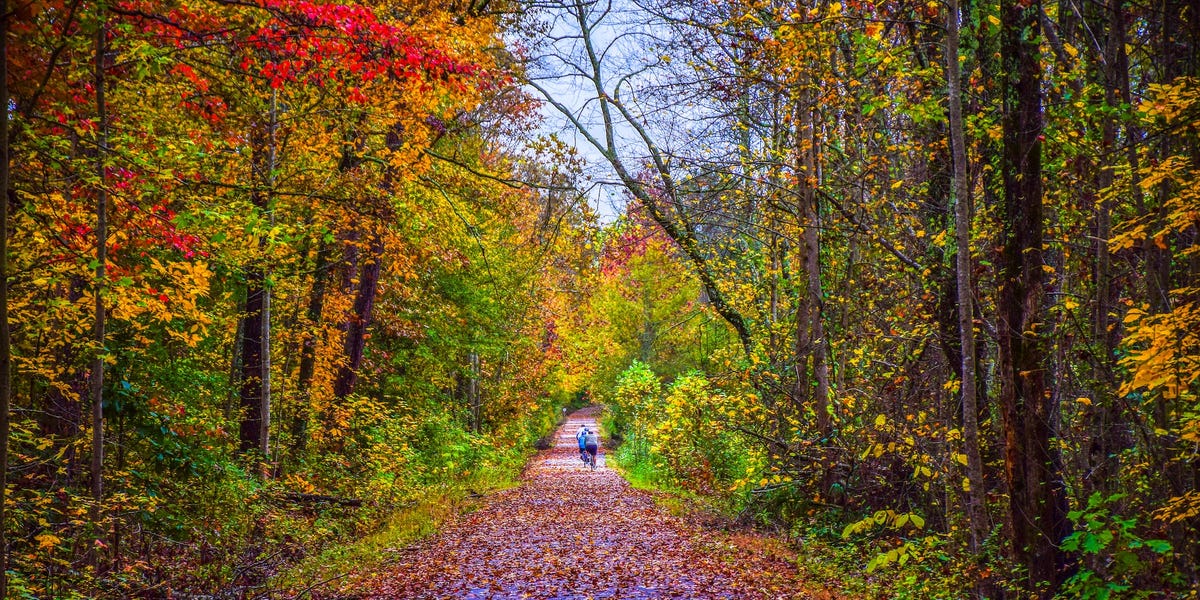 What fall looks like in every state