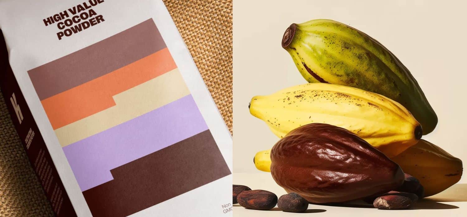 Lab-grown, climate-resilient chocolate bars