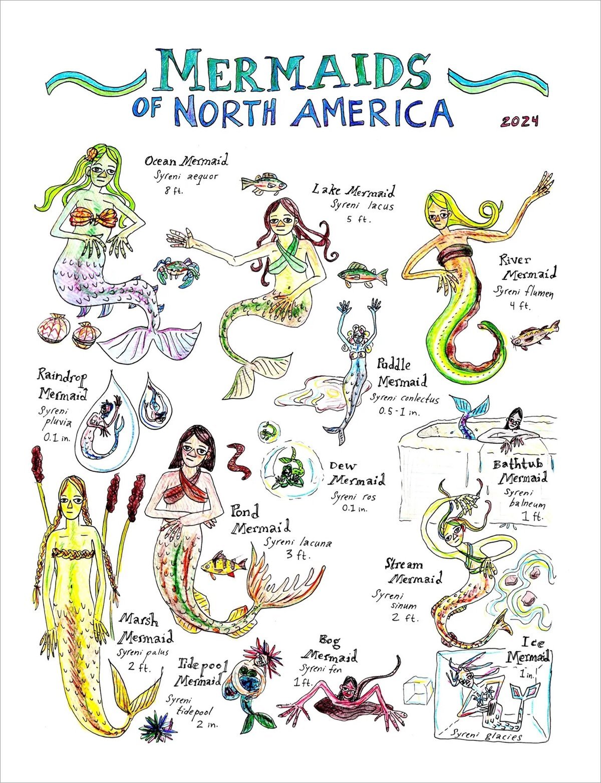 Mermaids of North America