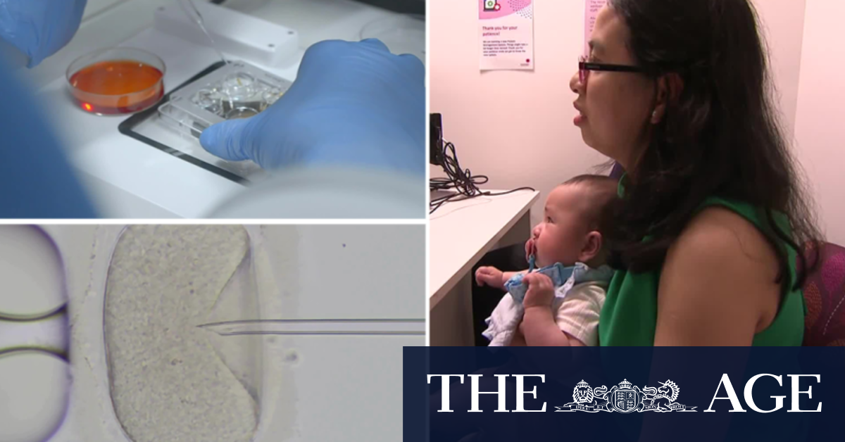 200 women fall pregnant through Australia's first public IVF program