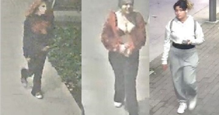 3 female suspects wanted in Surrey stabbing that left woman in hospital