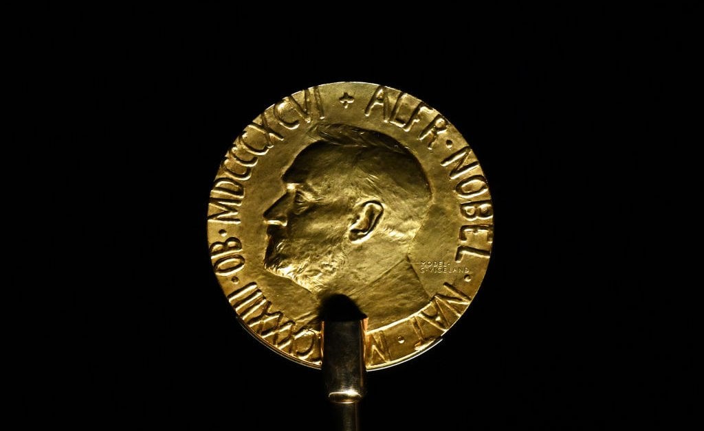 Here Are the Favorites to Win the 2024 Nobel Peace Prize